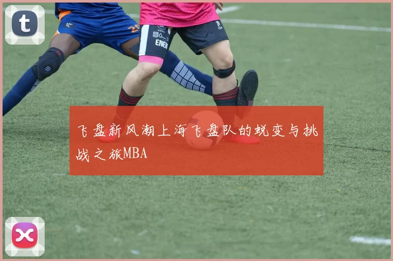 飞盘新风潮上海飞盘队的蜕变与挑战之旅MBA