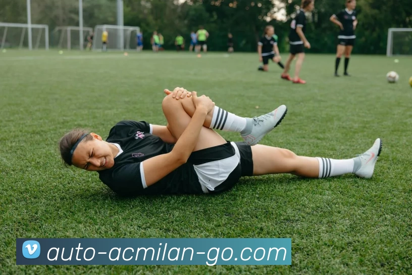 米兰官网平台生态图