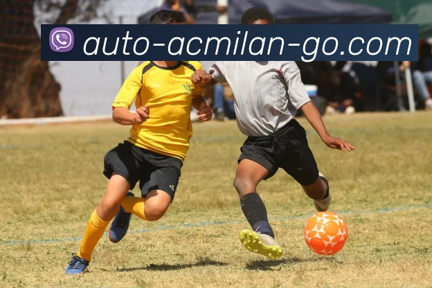 米兰官网APP 封面图